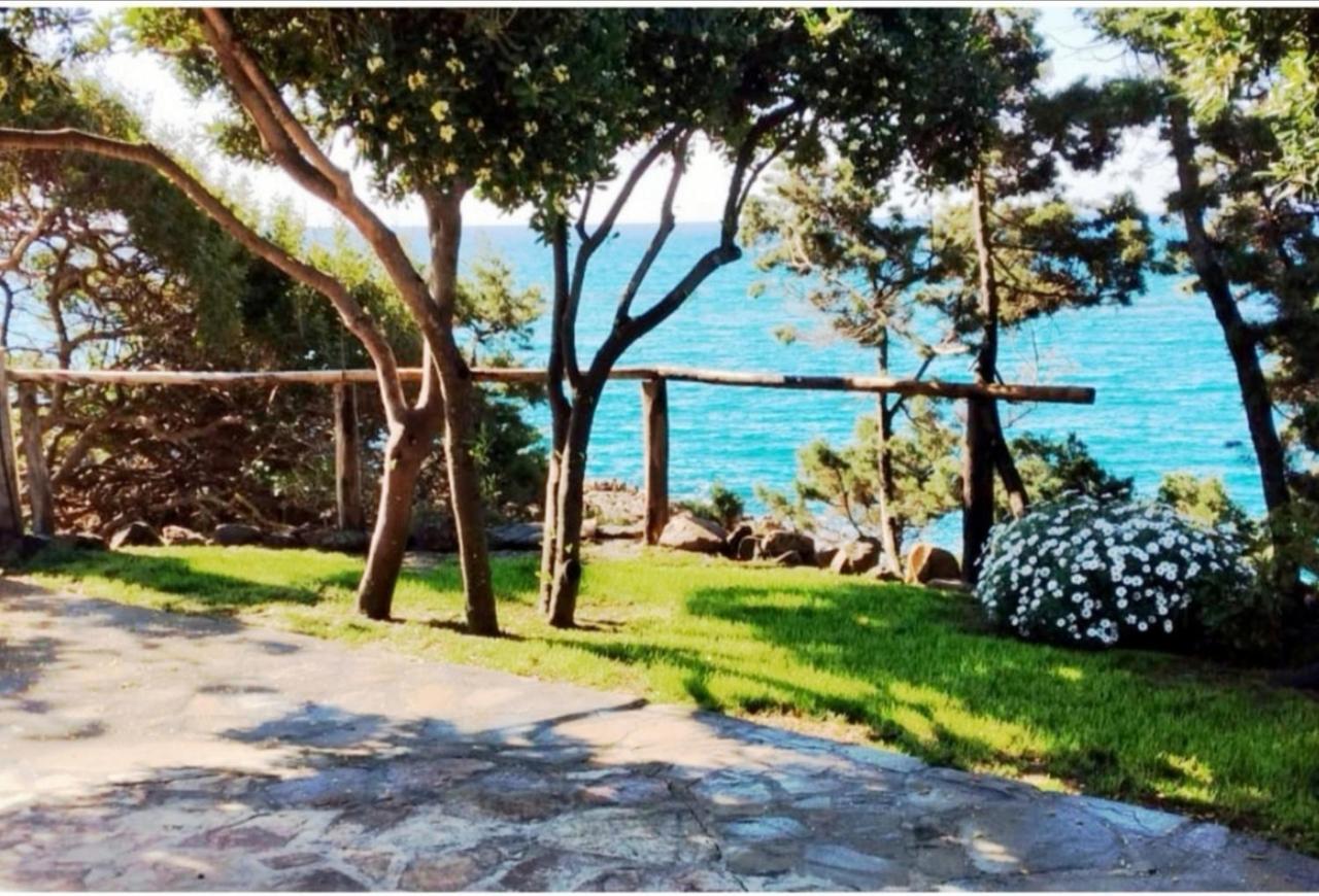 Villa Vera Trifamigliare Con Ingresso Diretto 20 Mt Al Mare Clima Wi-Fi Bbq كالا ليبيروتو المظهر الخارجي الصورة